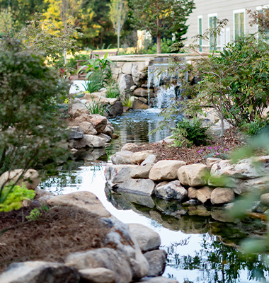 Stream at the Birches on Maple